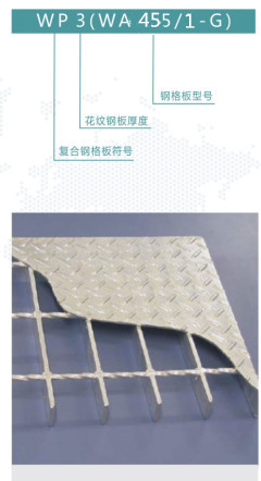 WP3WA455/1-G鋼格板是什么意思？